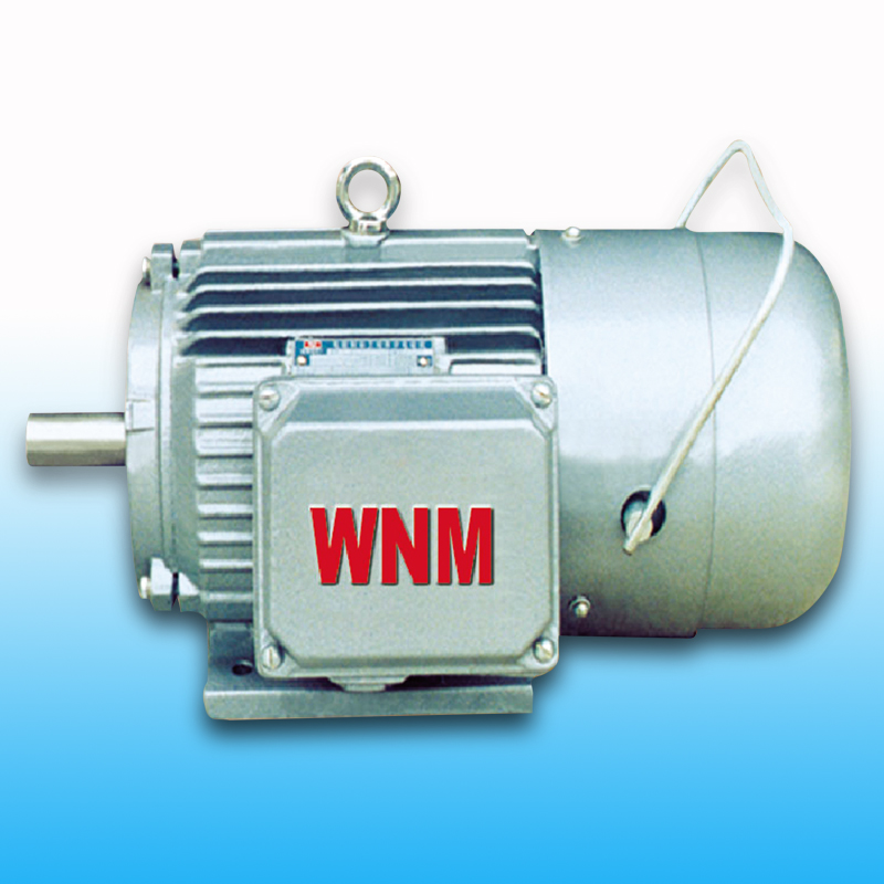 YEJ2系列電磁制動(dòng)電機(jī)